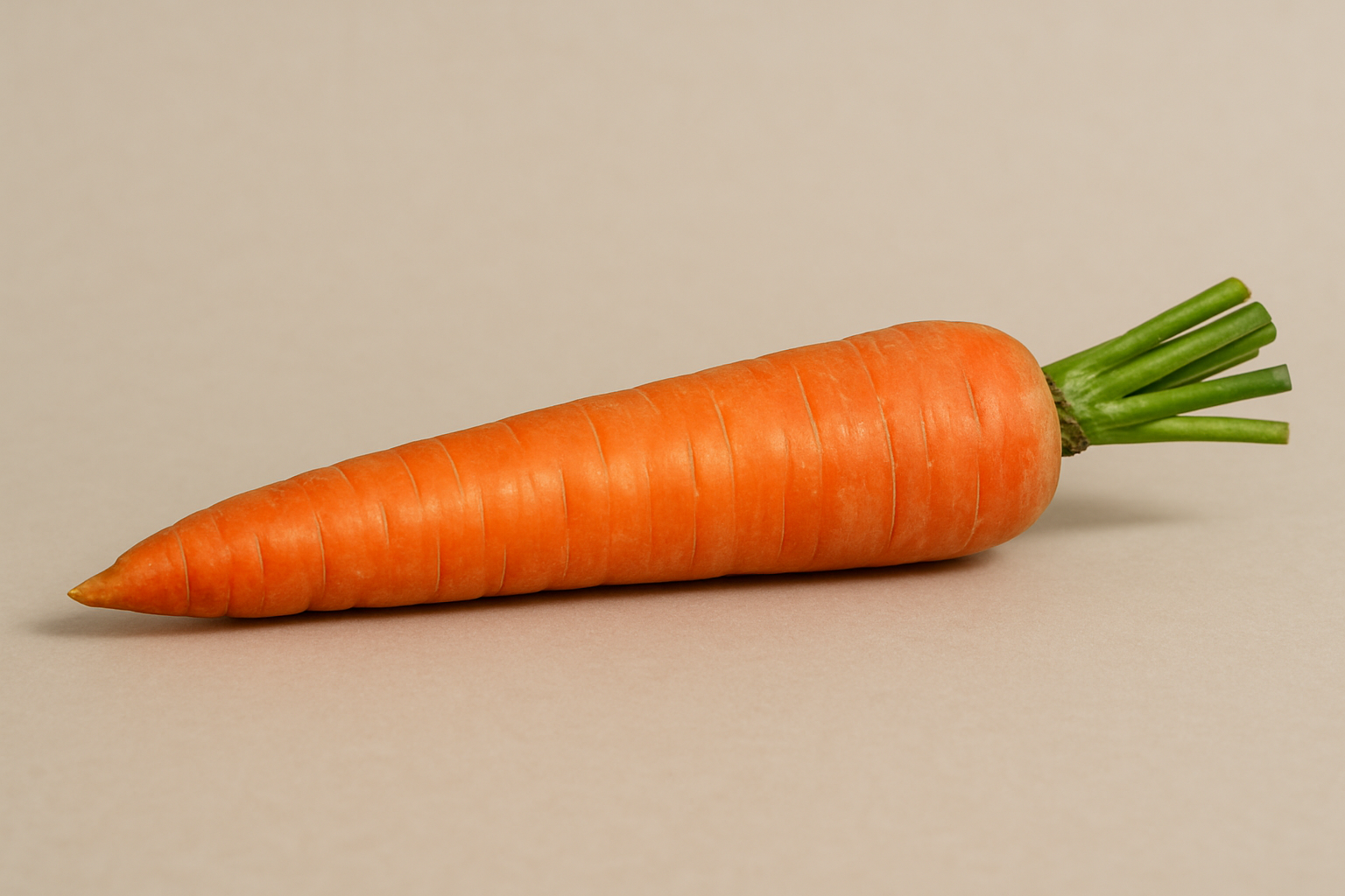 Illustration af average erect penis size
