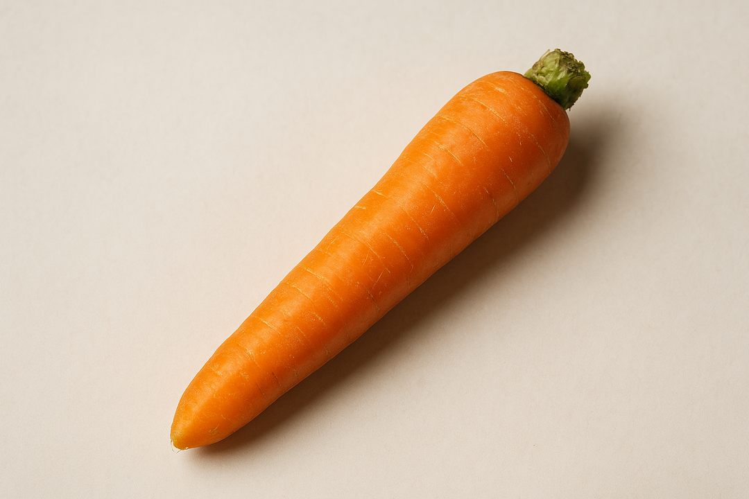 Illustration af what does a micropenis look like