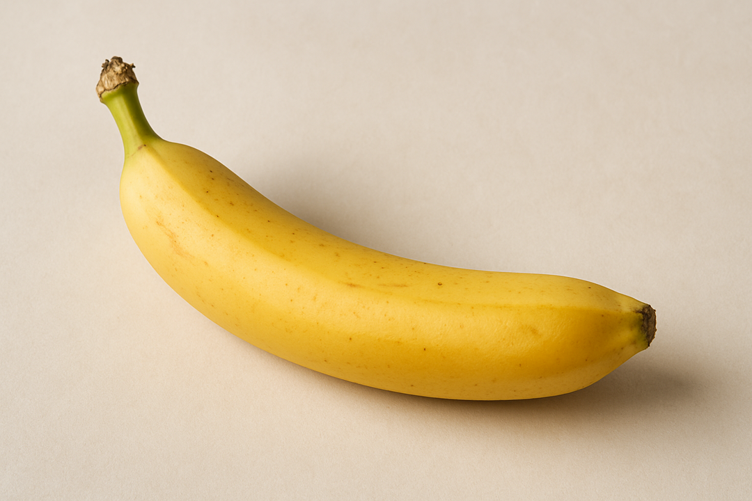 Illustration af what is an average penis size