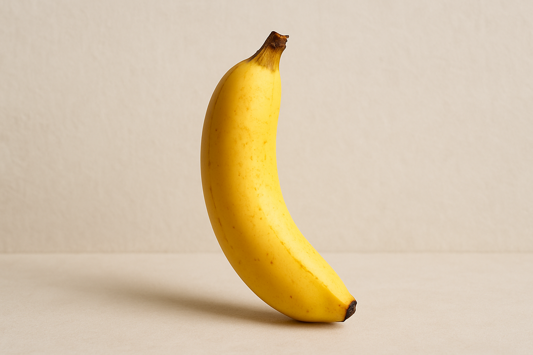 Illustration af what is considered a micropenis
