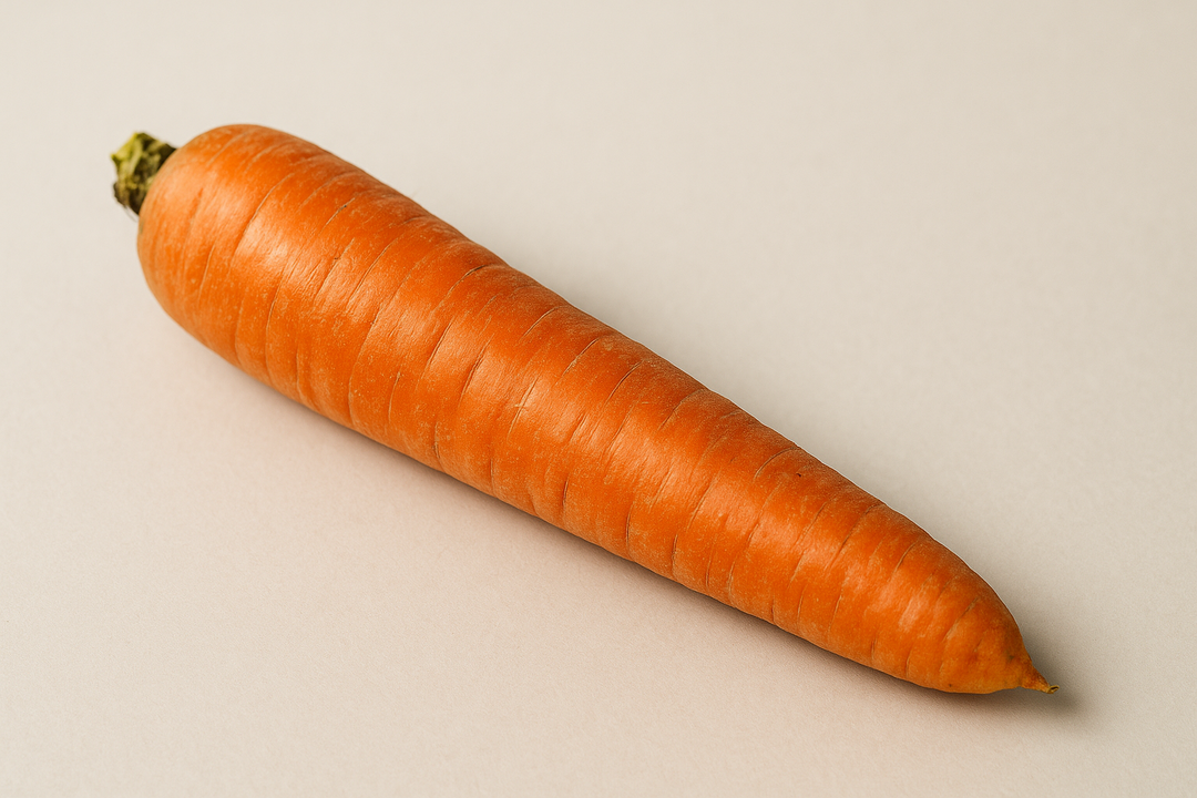 Illustration af whats the average size of a penis