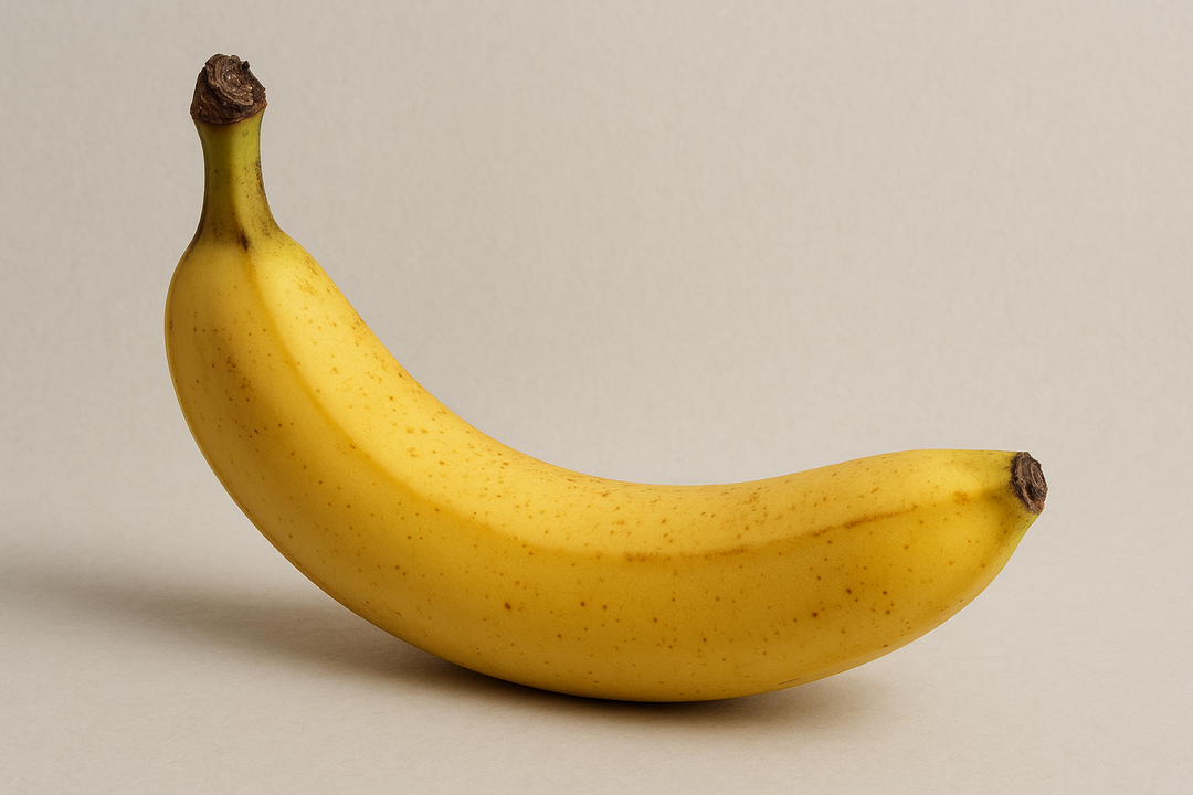 Illustration af how big was john holmes penis