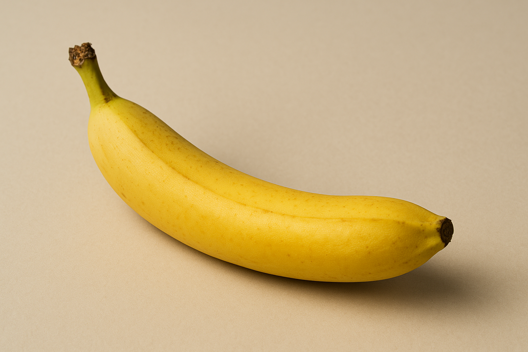 Illustration af what does an average size penis look like