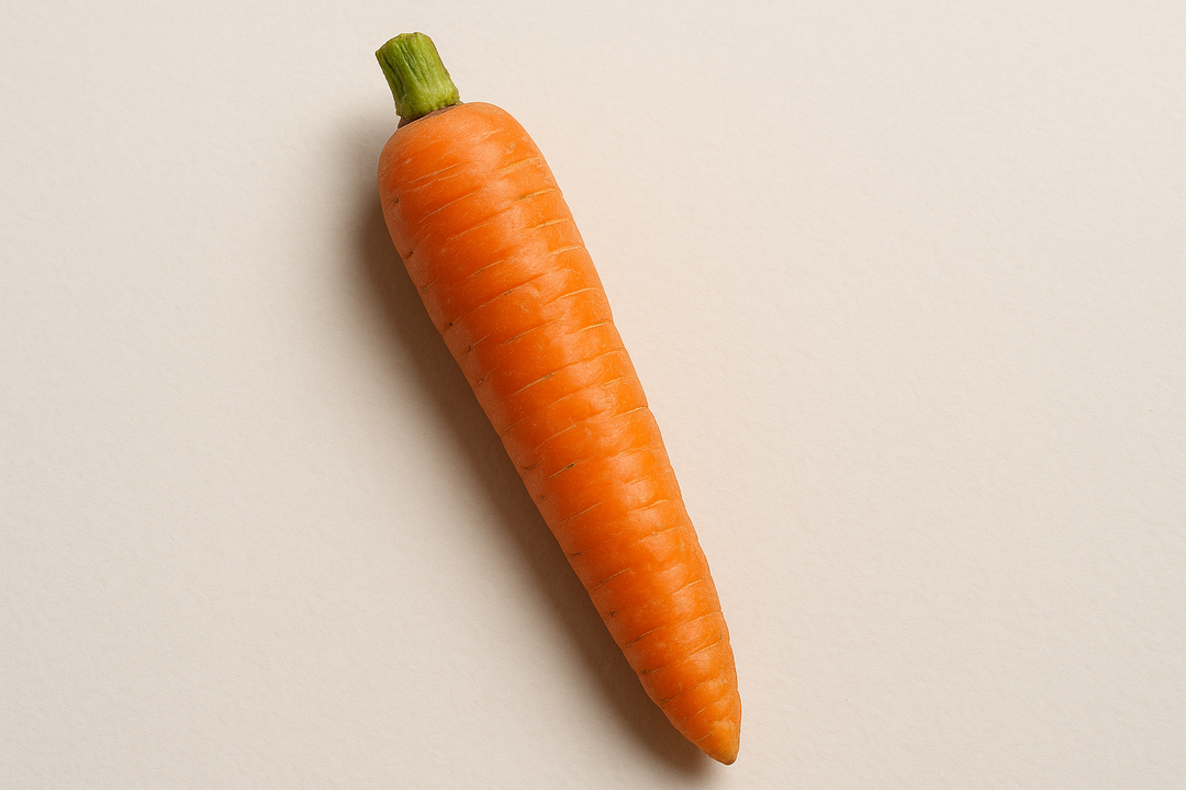 Illustration af what is average size penis