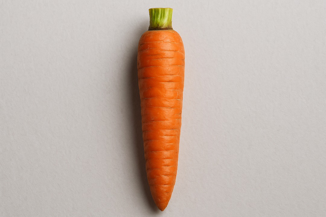 Illustration af what is the average size of a man penis