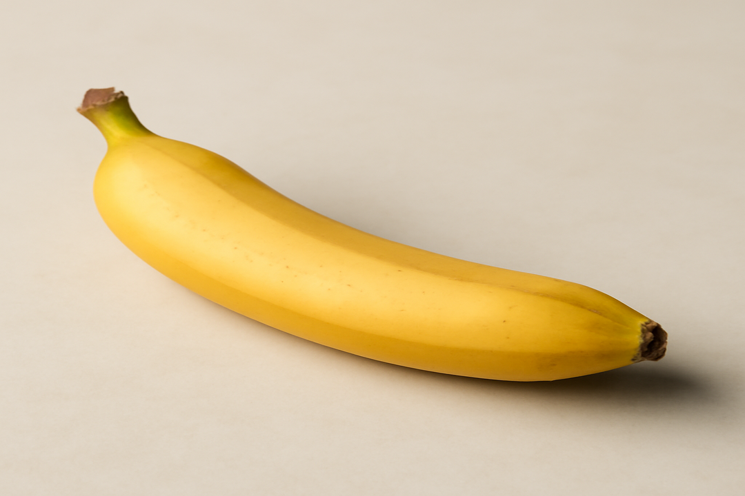 Illustration af average length penis