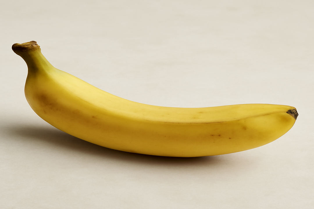 Illustration af how big should a penis be