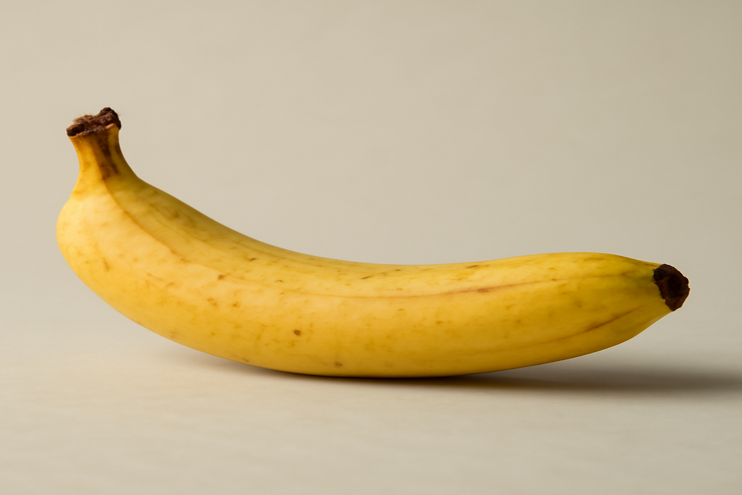 Illustration af what is a average penis size