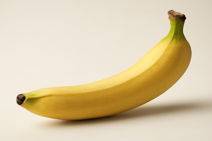 Illustration af what is the average size of an erect penis